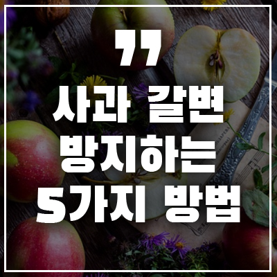 사과 갈변 방지